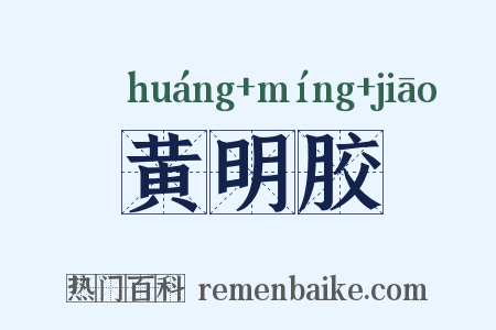 黄明胶是什么意思的图片
